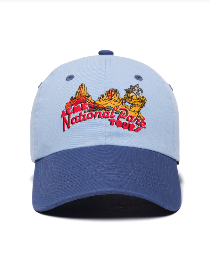 Project Hat Blue Looney Tunes x Parks Project Hat in Blue – Unincorporated