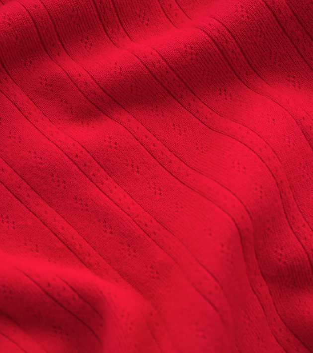 Z Supply Holly Pointelle Longsleeve Top in Festive Red - Unincorporated